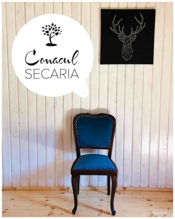 Villa Conacul Secaria Exterior foto