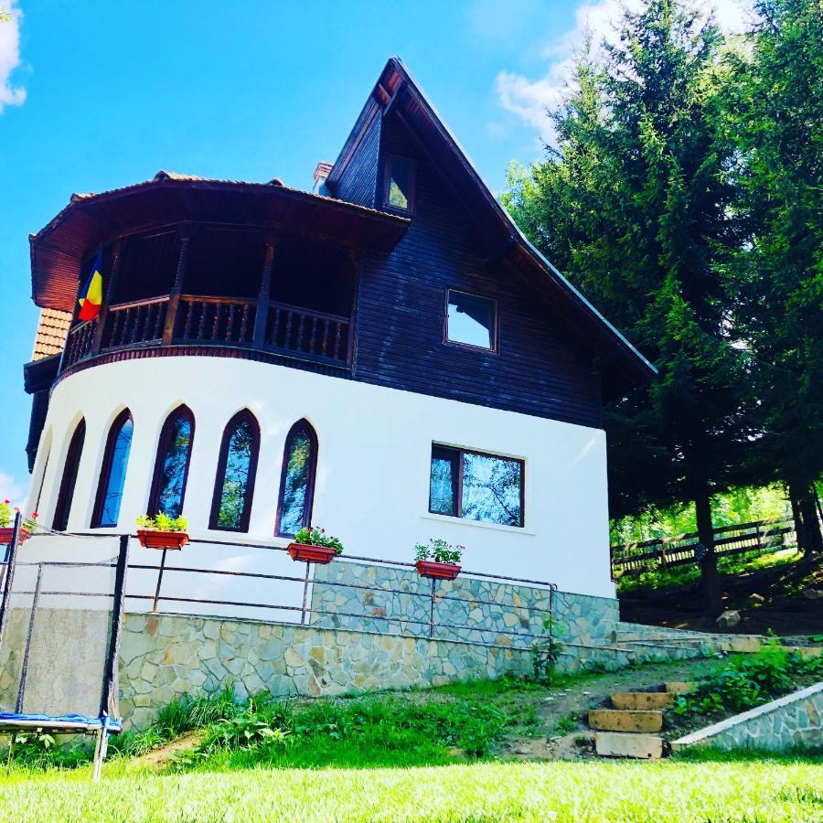 Villa Conacul Secaria Exterior foto